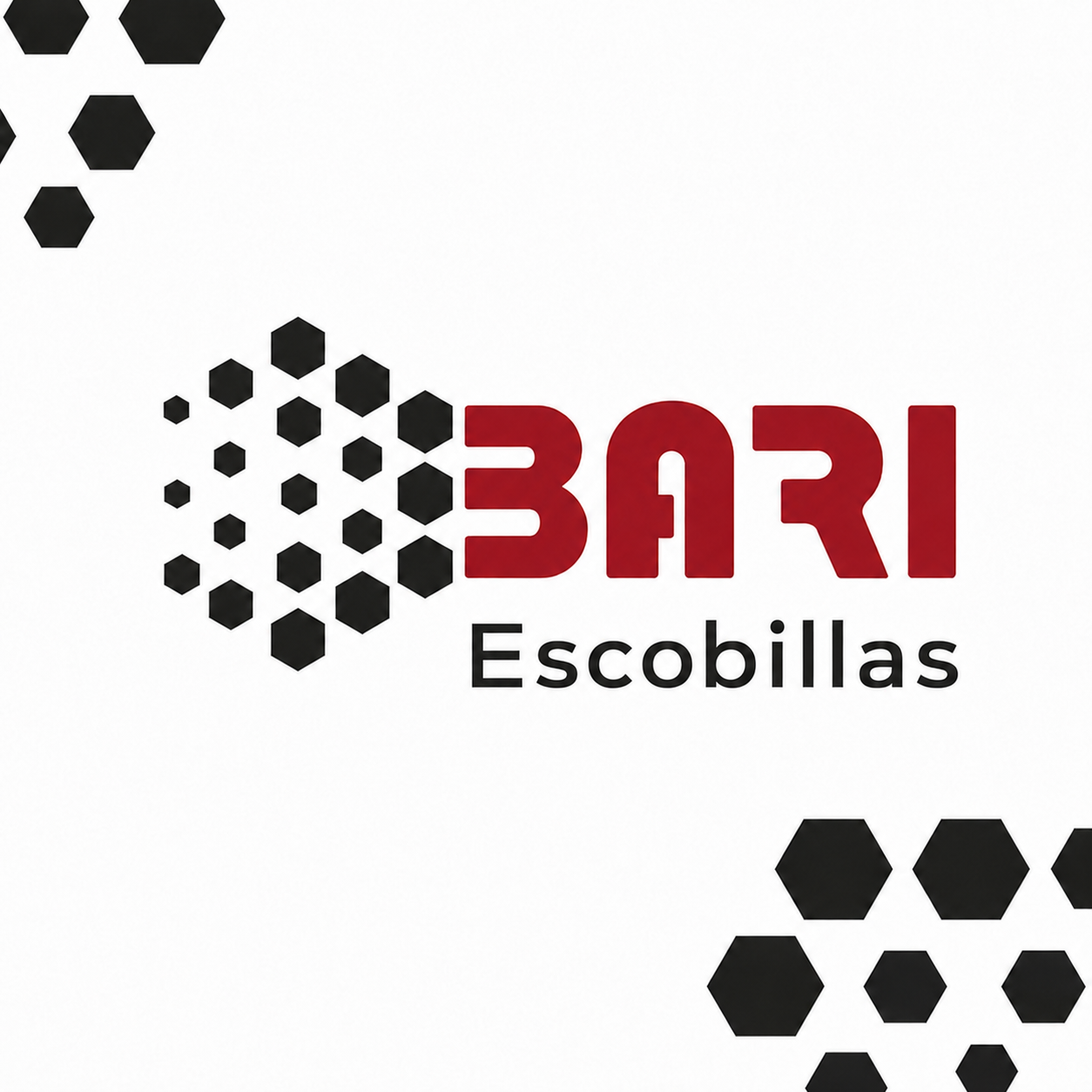 Bari Escobillas