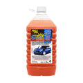 Brillo Express P.T.F.E. x 5 L
